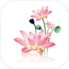 水墨工具箱（海量功能模块，用途广泛）.apk