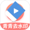 青青去水印-高级版（图视频去水印神器，高效批量理）.apk