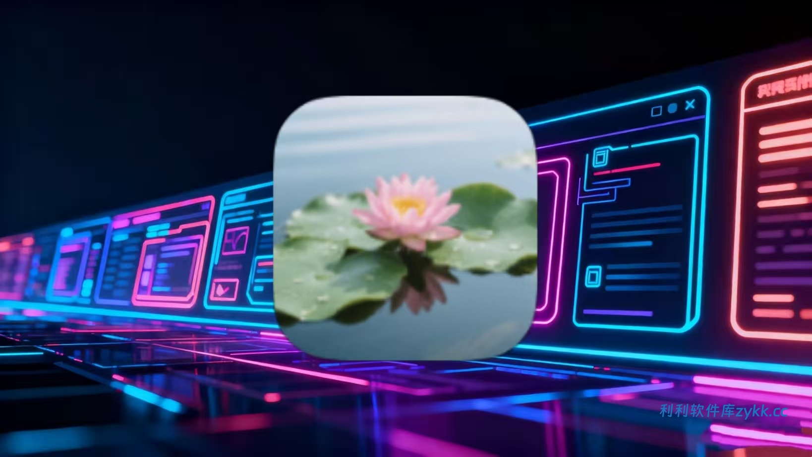 荷花壁纸v1.1纯净版