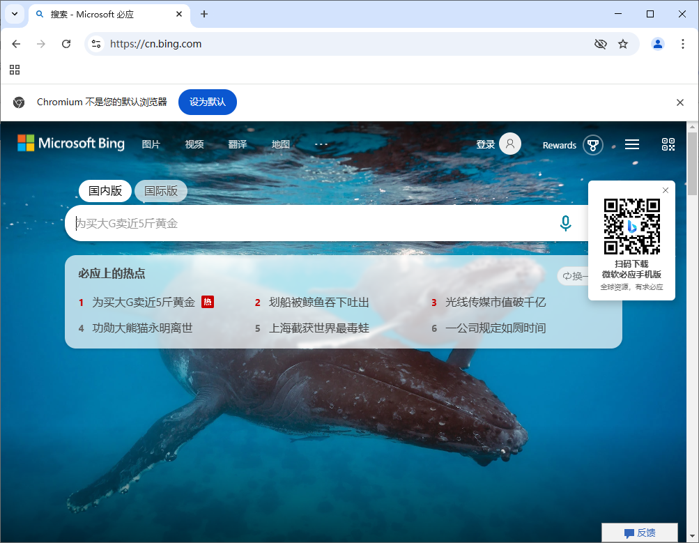 Ungoogled-Chromium v138.0.7204.96-1.1 中文绿色版