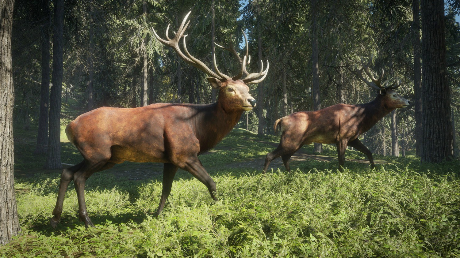 猎人：荒野的召唤/theHunter: Call of the Wild|集成DLCs|赠满财富技能小屋位置存档